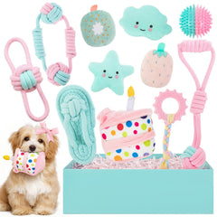 RoundFunny dog birthday toys set box, gift-ready presentation for celebrations and play.