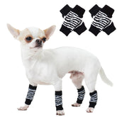 ROZKITCH dog elbow protector on front legs shows flexible support during outdoor activity.