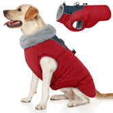 ROZKITCH dog jacket red M front view provides warmth for chilly outdoor walks.