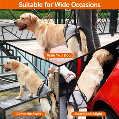 ROZKITCH Dog Lift Harness underbelly fit with breathable padding