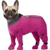 ROZKITCH dog recovery suit full-coverage protects wounds and reduces licking during healing