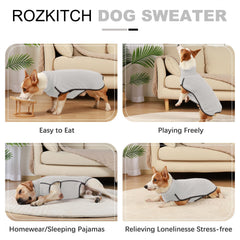 ROZKITCH Dog Winter Coat Grey XS on-dog walk demonstrates easy wear during chilly outings.