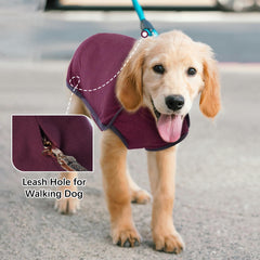 ROZKITCH dog winter coat worn on dog demonstrates full coverage and cozy warmth.
