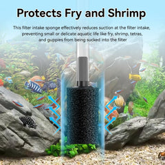 RPBKE aquarium sponge debris trap highlights filtration and debris capture