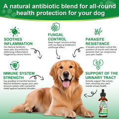 RUAKPL antibiotics for dogs ingredients display echinacea wormwood oregano for immune support.