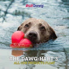 Ruff Dawg Ball fetch-ready for outdoor adventures and backyard games with bright bounce.
