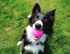 Ruff Dawg Ball XL neon side view boosts visibility for outdoor play.