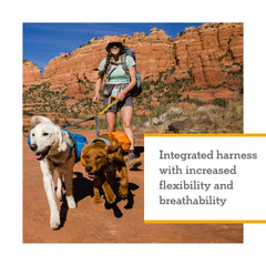 Ruffwear Approach Pack durable ripstop shell resists scrapes in rugged trails.