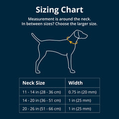 Ruffwear Crag Dog Collar with quick-release buckle enables fast on-trail leash attachment.