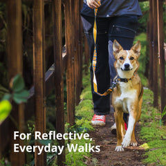 Ruffwear Crag Collar reflects improved visibility during dawn or dusk adventures.