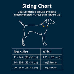 Ruffwear Crag Collar side buckle closeup shows quick-release convenience