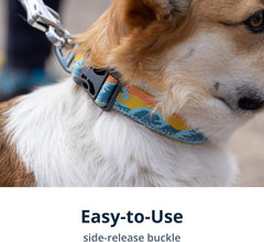 Ruffwear Crag Collar Tubelok webbing closeup emphasizes recycled materials and durability