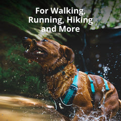 Ruffwear Flagline harness side-fit on dog for secure, comfy wear.