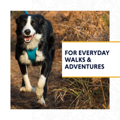 Ruffwear Front Range Leash one-handed-clip enabling easy attachment during adventures.