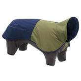 Ruffwear Sun Shower raincoat full-coverage on a dog, staying dry during rainy hikes