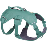 Ruffwear Web Master harness in River Rock Green shows secure fit for daily wear and hiking.