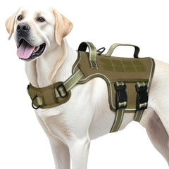RunFido large dog harness with no-pull design for safer strolls and training sessions