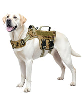 RunFido harness front view with quick-release design for easy outfitting during walks.