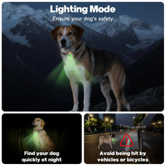 RUNLANE dog collar remote display shows quick training settings