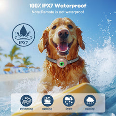 RUNLANE IPX7 waterproof collar ready for rain, mud, and swims