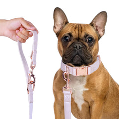 Runwing 6ft dog leash in rose gold with durable hardware for reliable street walks.