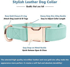 Runwing rose gold buckle collar with D-ring for secure leash attachment