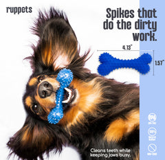 Ruppets dental bone texture promotes gum-friendly cleaning during play.