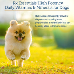 Rx Vitamins Essentials for Dogs daily scoop ready to boost everyday vitality.