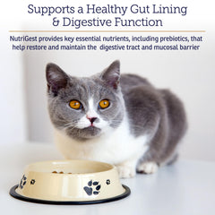 Rx Vitamins NutriGest bottle label closeup highlighting probiotics and glucosamine.