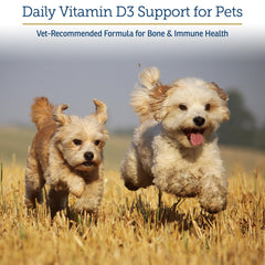 Rx Vitamins Rx D3 dropper closeup demonstrates precise dosing for pets of all sizes.