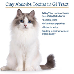 Rx Vitamins RX Edible Clay Powder packets for easy at-home dosing.