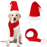 Rypet dog Santa hat close-up with white pompom, festive photo-ready.