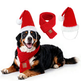 Rypet dog Santa hat close-up on plush fabric for festive photos.