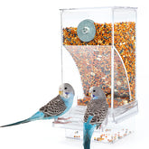 Rypet No Mess Feeder front view shows accessible seed delivery for small birds