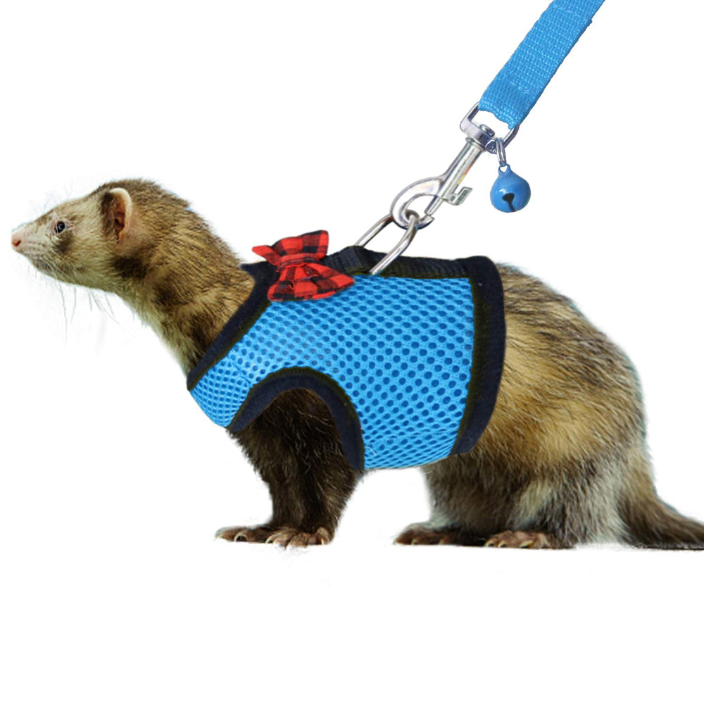 Rypet small animal harness blue front view showing breathable mesh for comfort