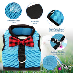 Rypet harness with leash attachment shows 4.4ft leash included for easy walks