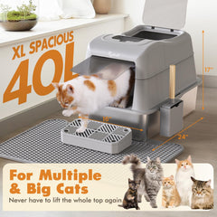 Rywell extra-large 40L capacity suitable for large cats and multi-cat homes.