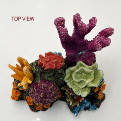 S-Lifeeling coral reef ornament provides hiding spots for fish and shrimp.