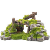 S-Lifeeling moss stone in aquarium offers a natural shelter for fish and shrimp.
