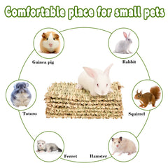 S SANGLE SOPFFY grass mat close-up texture highlights chew-friendly material