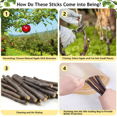 Sadaunbe Apple Sticks guinea pig enrichment shot highlighting safe chewing.