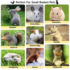 Sadaunbe Apple Sticks rabbit teeth chew close-up with natural flavor and bite-sized fun.