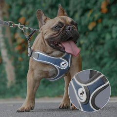 SAEGYPET breathable air-mesh vest keeps dogs cool.