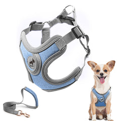 SAEGYPET dog harness blue step-in design for easy daily walks.