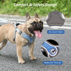 SAEGYPET reflective straps improve night visibility during walks.