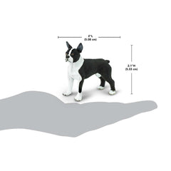 Safari Ltd. Boston Terrier Figurine size reference helps tactile learning for small hands.