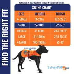 SafetyPUP XD reflective vest back view shows blaze orange for high visibility on hikes.