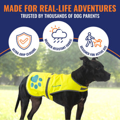 SafetyPUP XD vest with reflective accents demonstrates night-time visibility during low light.