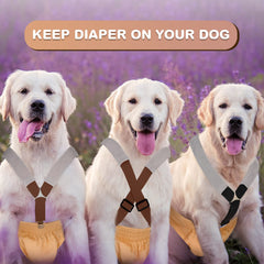 Saintrygo dog suspenders adjustable buckles for a customizable fit.