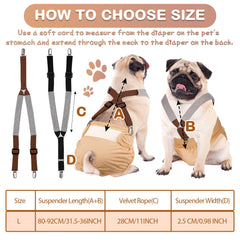 Saintrygo dog suspenders demonstrate two wearing options for diapering.